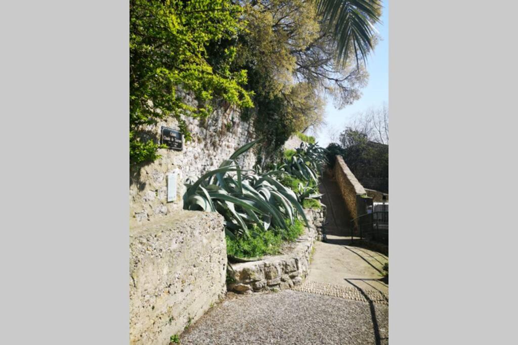 maison de village meublée avec terrasse Donzère Extérieur photo